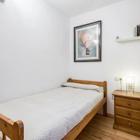 Apartamento La Benasquita Apartment