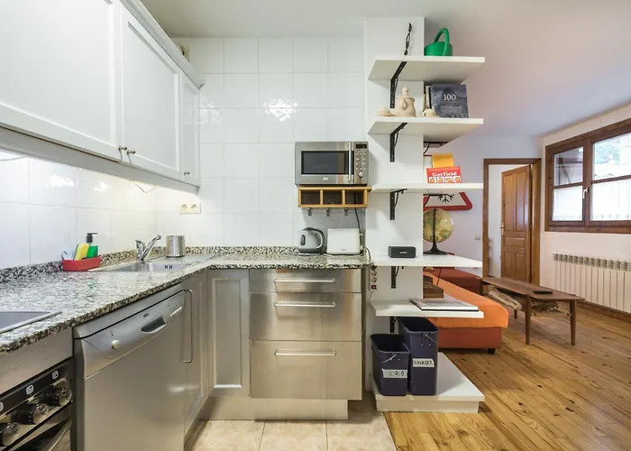 Lägenhet Apartamento La Benasquita